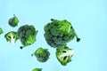 Flying green broccoli slices on a blue background. Royalty Free Stock Photo