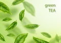 Flying green leaves. Tea advertising concept.