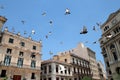 Flying in Havana Royalty Free Stock Photo
