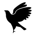 Flying hawk silhouette isolated on white. Stylized vector illustration