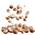 Flying Hazelnuts Against a White Background Ã¢â¬â Snack and Food Illustration Royalty Free Stock Photo