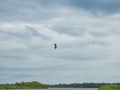 Flying heron bird Royalty Free Stock Photo