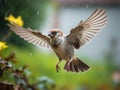 Ai Generated illustration Wildlife Concept of Flying House Sparrow Royalty Free Stock Photo