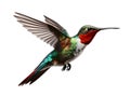 Flying Hummingbird bird isolated on white background, animal world and fauna concept, realistic design illustration, generative ai Royalty Free Stock Photo