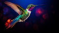 Flying hummingbird on transparent colored background