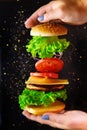 Flying ingredients for a homemade burger on a black background Royalty Free Stock Photo