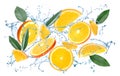 Flying juicy orange slices, citrus leaves and water splash