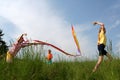 Flying kite Royalty Free Stock Photo