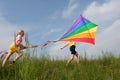Flying kite Royalty Free Stock Photo