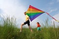 Flying kite Royalty Free Stock Photo