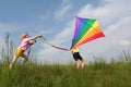Flying kite Royalty Free Stock Photo
