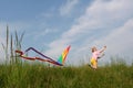 Flying kite Royalty Free Stock Photo