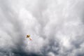 Flying kite in the air Royalty Free Stock Photo