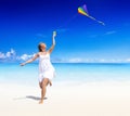 Flying Kite Beach Summer Playful Concept Royalty Free Stock Photo