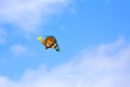 Flying a kite in a blue and cloudy sky