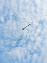 Flying Kite in the blue sky, blue sky and clouds, children` kite silhouette Royalty Free Stock Photo