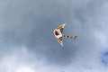 Flying kite on the cloudy blue sky background Royalty Free Stock Photo