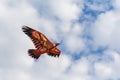 Flying kite in form of Eagle flying in blue cloudy sky Royalty Free Stock Photo