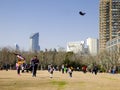 Flying a kite inside Fuxing Park Royalty Free Stock Photo