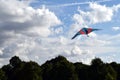 Flying kite in the park above trees Royalty Free Stock Photo