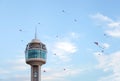 Flying kites on Bahrain National Day