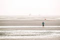 Flying kites on the seashore. Sea recreation and vacation. People fly a kite on the seashore on a cloudy day.Frisian