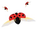 Flying lady bug, icon