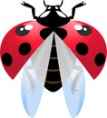 Flying ladybird Royalty Free Stock Photo