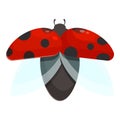 Flying ladybird icon cartoon vector. Ladybug beetle Royalty Free Stock Photo