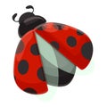 Flying ladybug icon cartoon vector. Insect ladybird Royalty Free Stock Photo