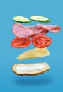 Flying layers of sandwich with ham, cheese, and vegetables on the blue background Royalty Free Stock Photo