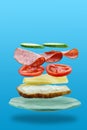 Flying layers of sandwich with ham, cheese, and vegetables on the blue background Royalty Free Stock Photo