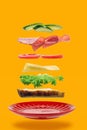 Flying layers of sandwich with ham, cheese and vegetables over the red plate on yellow background Royalty Free Stock Photo