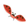 flying ledybug cute view above in a flat style Royalty Free Stock Photo