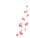 Flying light Pink Red petals isolated on white background. Roses petals. Falling Cherry flowers. Vector EPS 10 cmyk