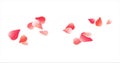 Flying light Pink Red petals isolated on white background. Roses petals. Falling Cherry flowers. Vector EPS 10 cmyk Royalty Free Stock Photo