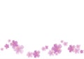 Flying light purple flowers isolated on white background. Apple-tree flowers. Cherry blossom. Border. Vector EPS 10 cmyk Royalty Free Stock Photo