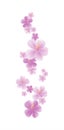 Flying light Purple Violet flowers isolated on white background. Apple-tree flowers. Cherry blossom. Vector EPS 10 cmyk Royalty Free Stock Photo
