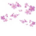 Flying light Purple Violet flowers isolated on white background. Apple-tree flowers. Cherry blossom. Vector EPS 10 cmyk Royalty Free Stock Photo