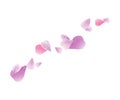 Flying light Violet Purple petals isolated on white background. Roses petals. Falling Cherry flowers. Vector EPS 10 cmyk