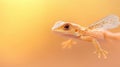 A Flying Lizard Fantasy Royalty Free Stock Photo