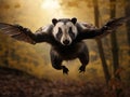 Flying mammal. Badger in forest animal nature habitat Germany Europe. Wildlife scene. Wild Badger Meles meles wood road. Royalty Free Stock Photo