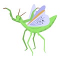 Flying mantis icon, isometric style