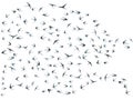 Flying martlet birds silhouettes vector illustration. Migratory martlets bevy isolated on white.