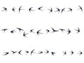 Flying martlet birds silhouettes vector illustration. Migratory martlets group isolated on white. Royalty Free Stock Photo