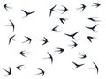 Flying martlet birds silhouettes vector illustration. Migratory martlets school isolated on white.