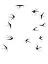 Flying martlet birds silhouettes vector illustration. Nomadic martlets bevy isolated on white. Free