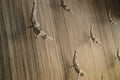 Flying men at the waterfall in the Dubai Mall