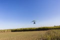 Flying Microlight Aircraft Landing