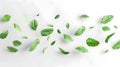 Flying mint leaves on a white background Royalty Free Stock Photo